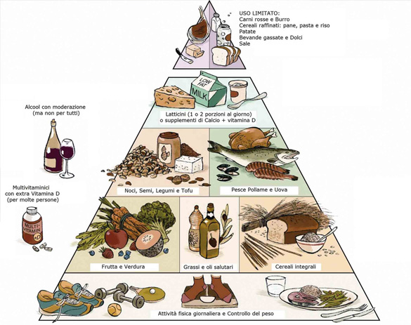 Piramide alimentare